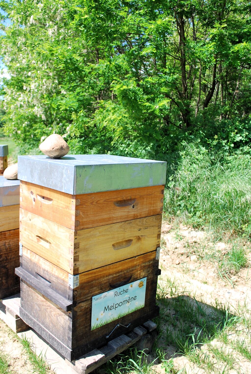 La ruche Melpomène