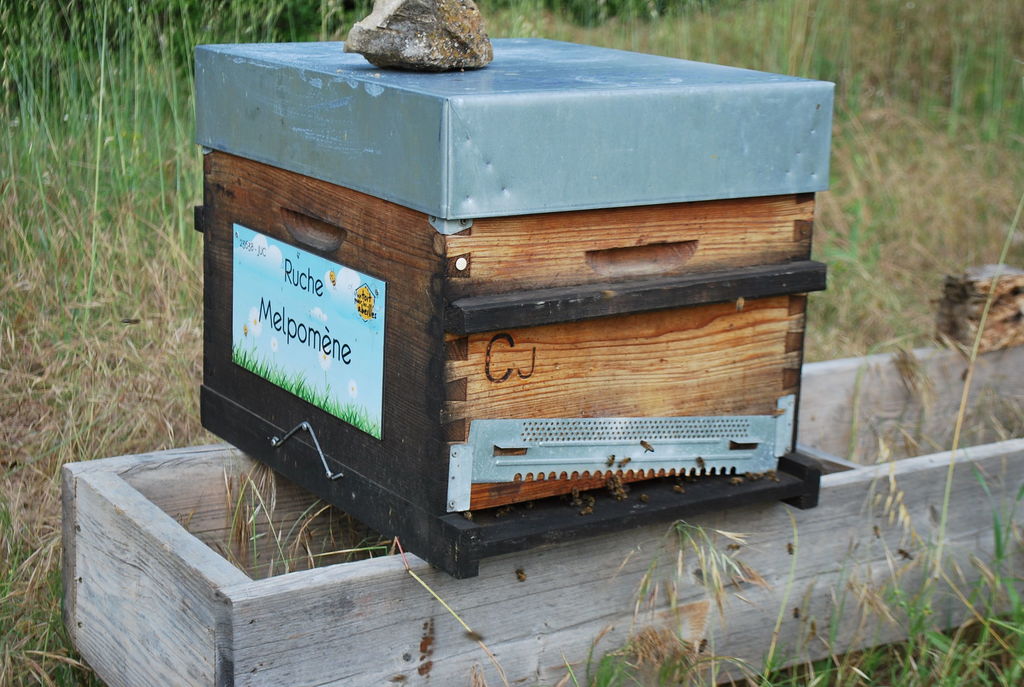 La ruche Melpomène