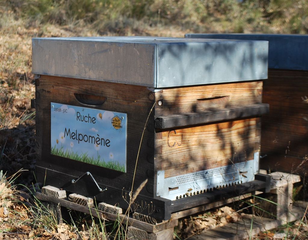 La ruche Melpomène