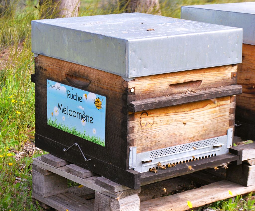 La ruche Melpomène
