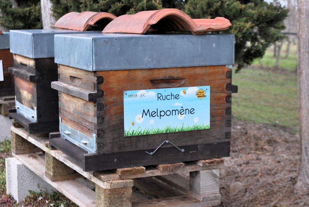 La ruche Melpomène