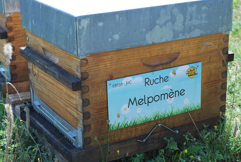 La ruche Melpomène