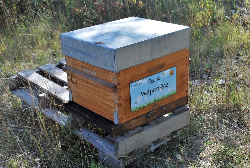 La ruche Melpomène