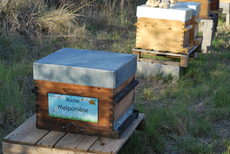 La ruche Melpomène