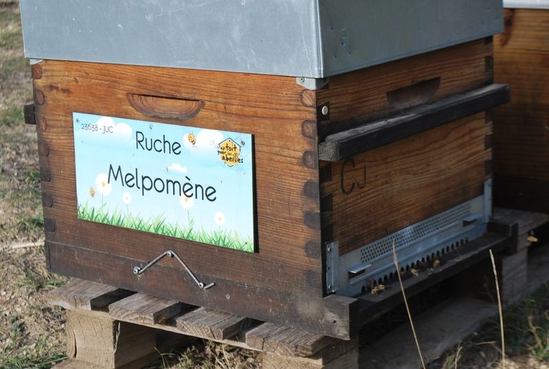 La ruche Melpomène