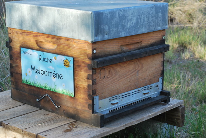 La ruche Melpomène