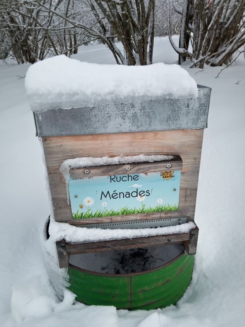 La ruche Ménades