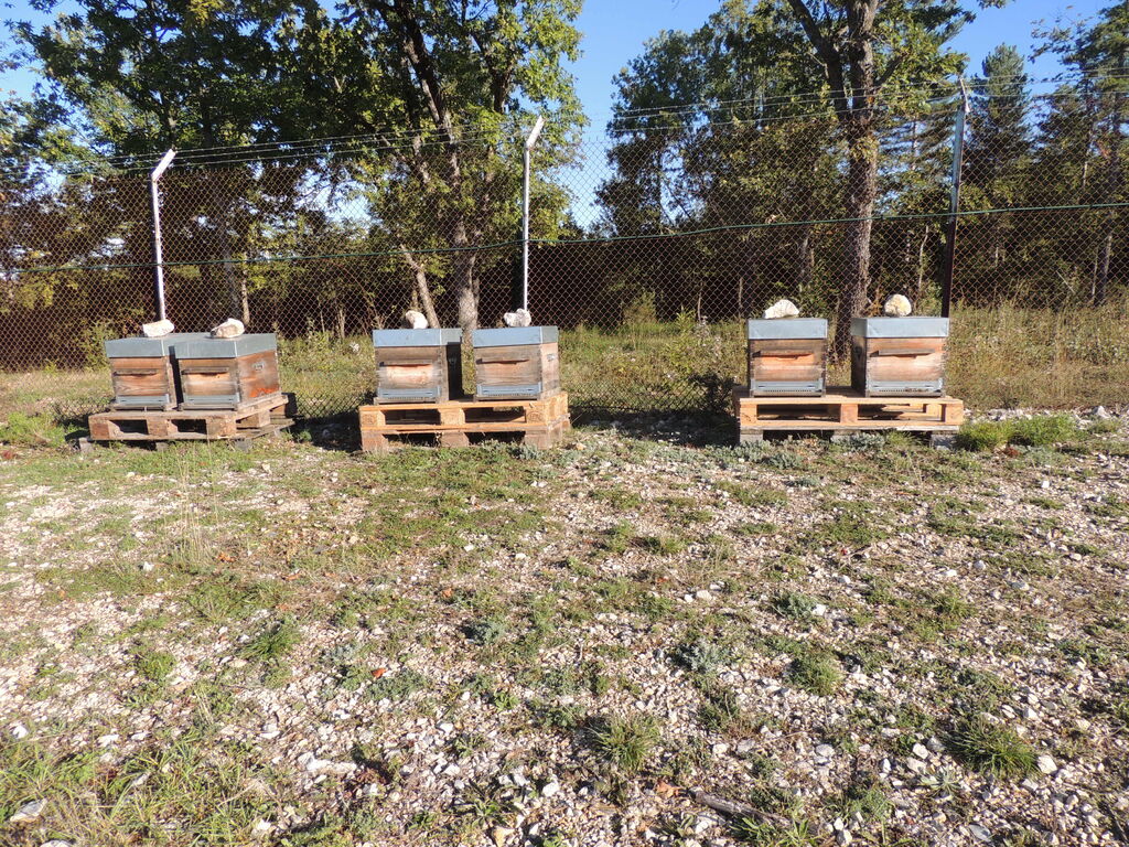 La ruche SONNEDIX ELECSOL PROVENCE