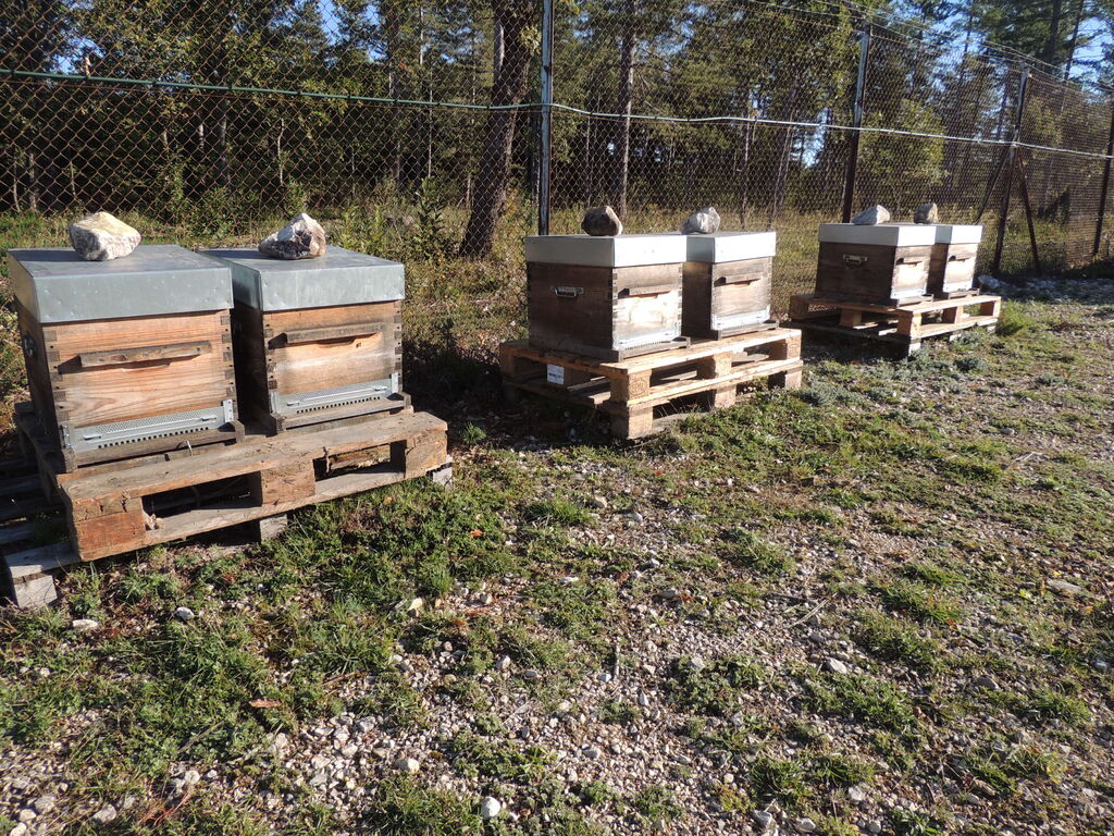 La ruche SONNEDIX ELECSOL PROVENCE