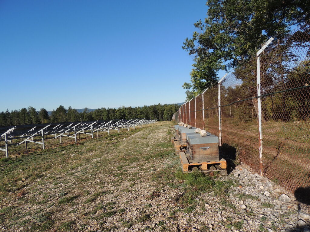La ruche SONNEDIX ELECSOL PROVENCE