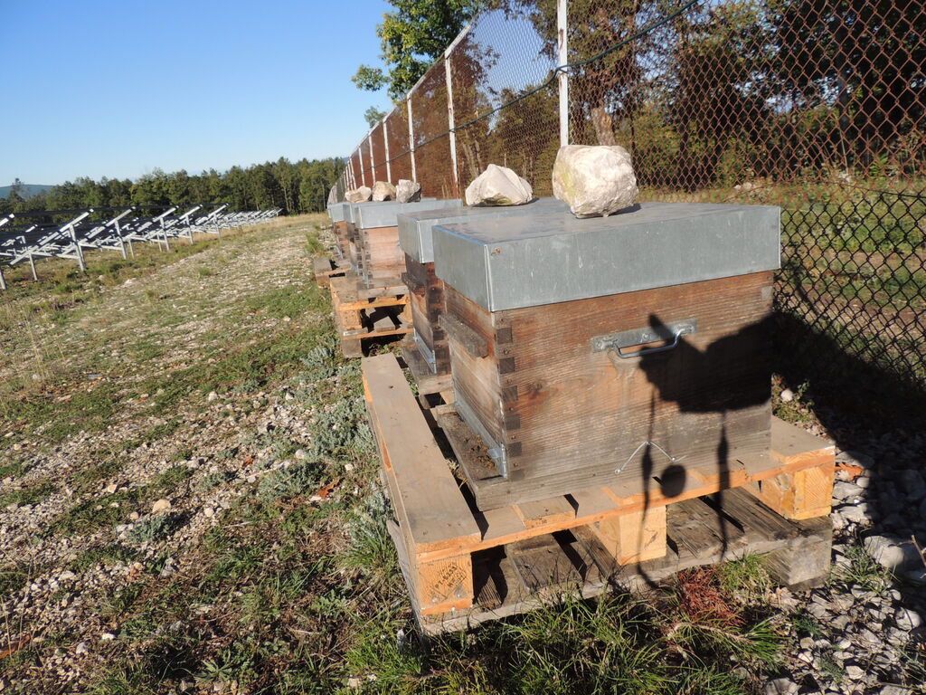 La ruche SONNEDIX ELECSOL PROVENCE