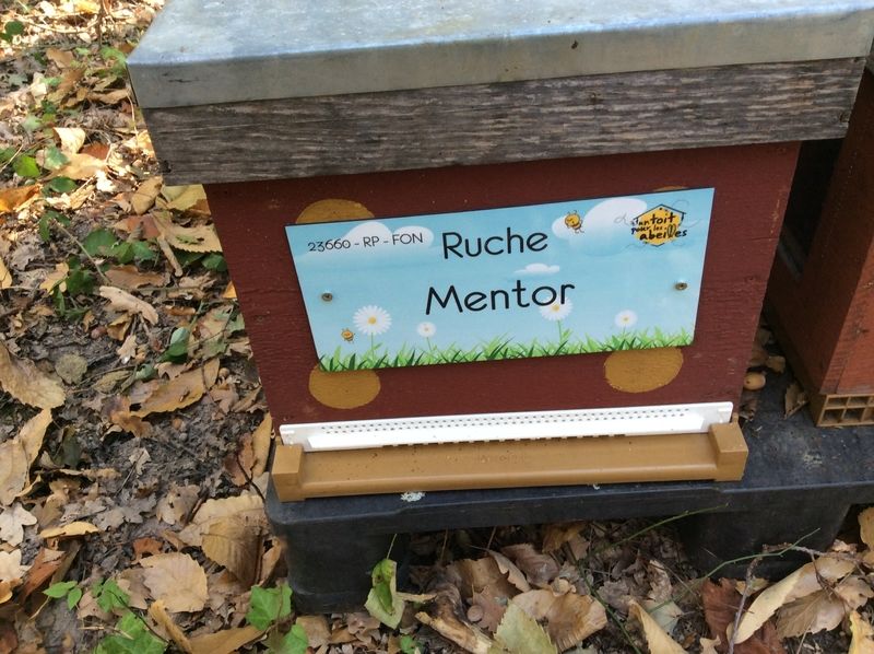 La ruche