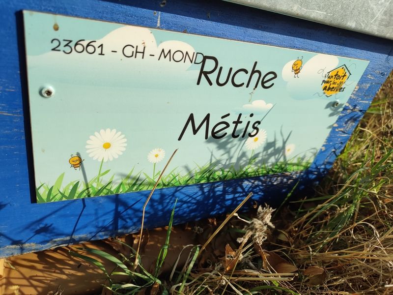 La ruche Métis