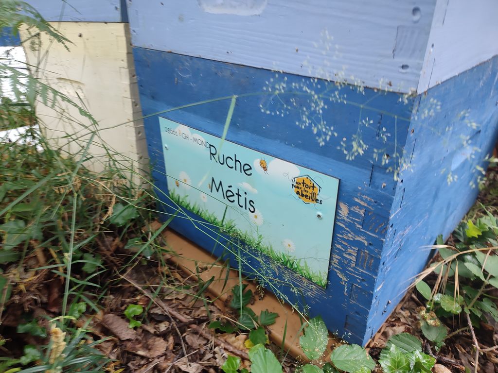 La ruche Métis