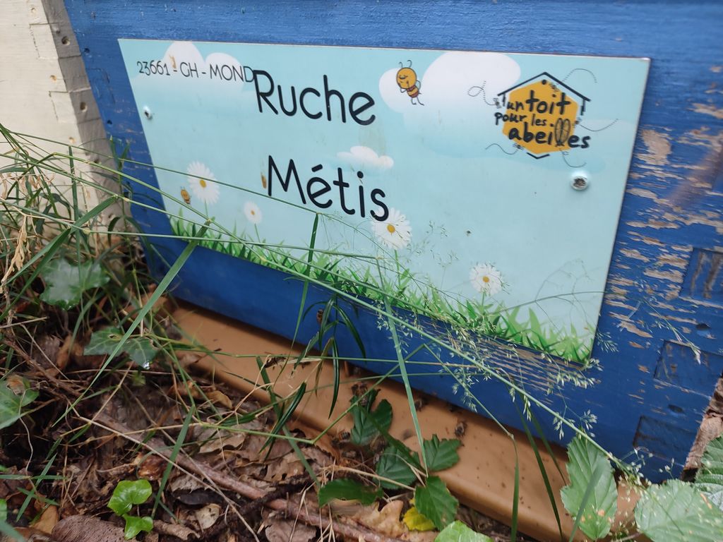 La ruche Métis