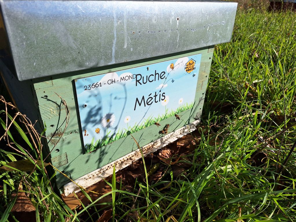 La ruche Métis