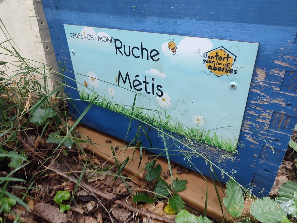 La ruche Métis