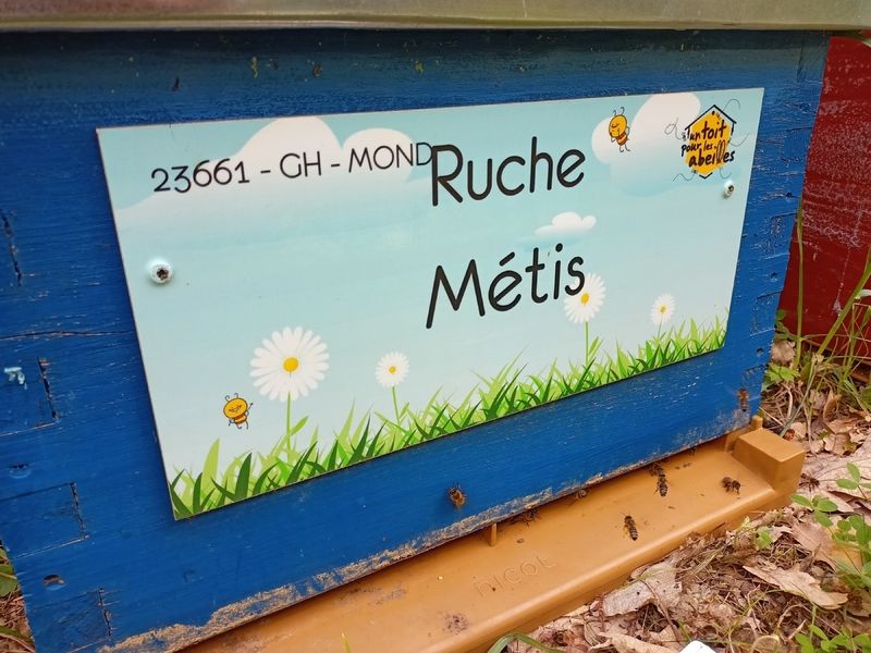 La ruche Métis