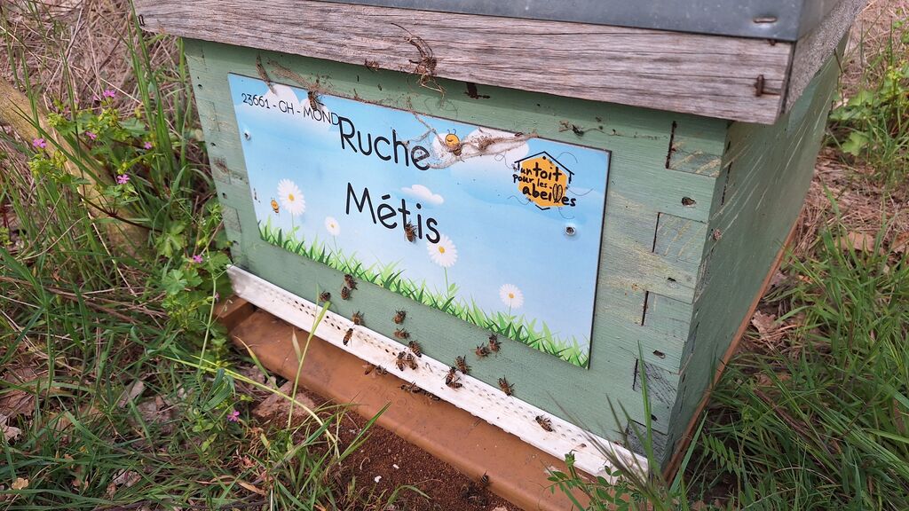 La ruche Métis