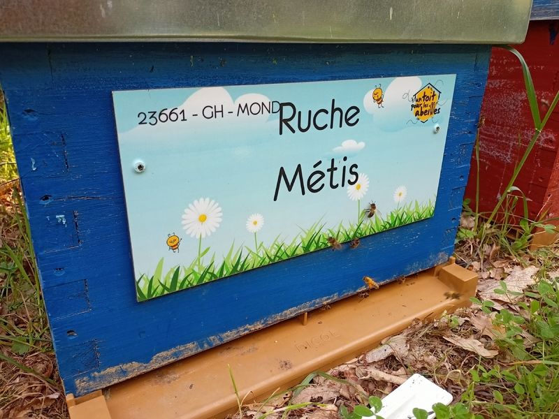 La ruche Métis