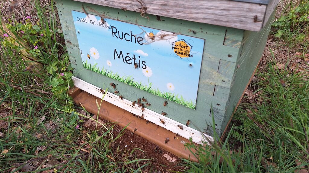 La ruche Métis