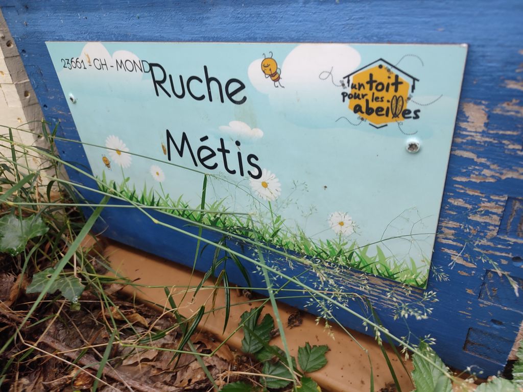 La ruche Métis