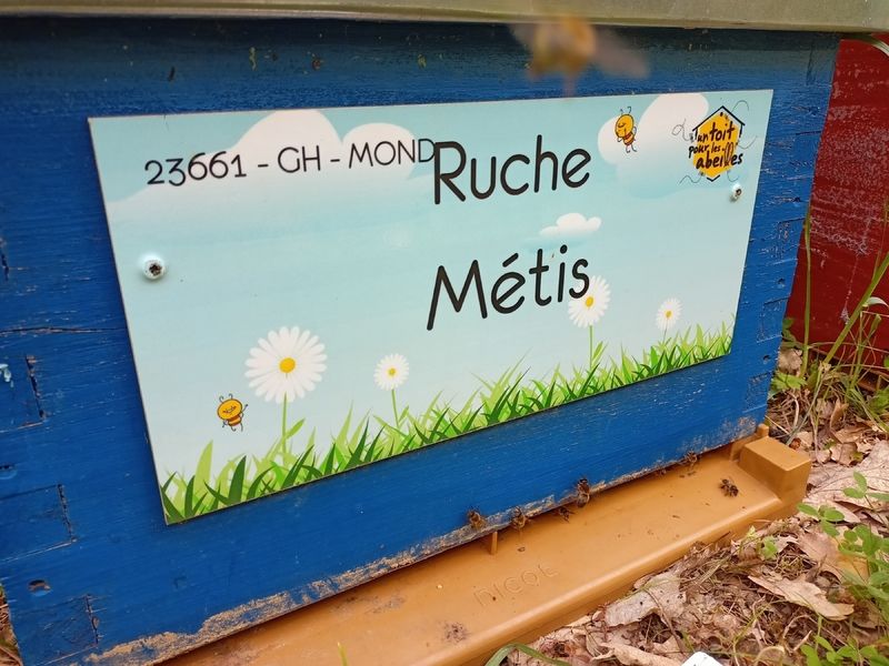La ruche Métis