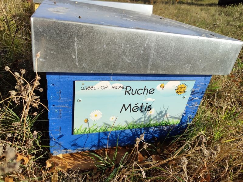 La ruche Métis