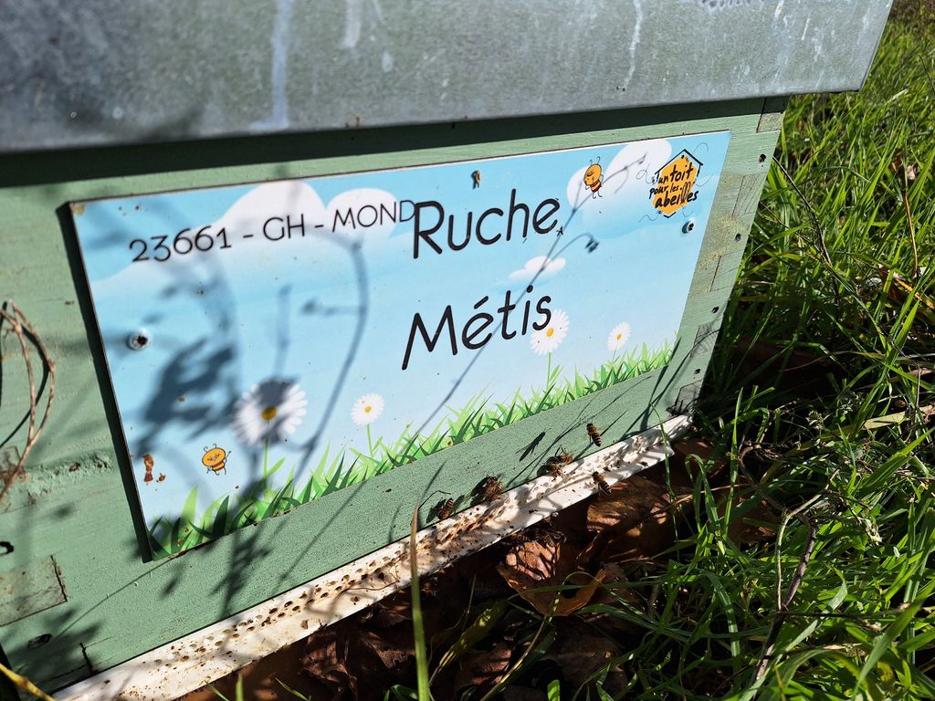 La ruche Métis
