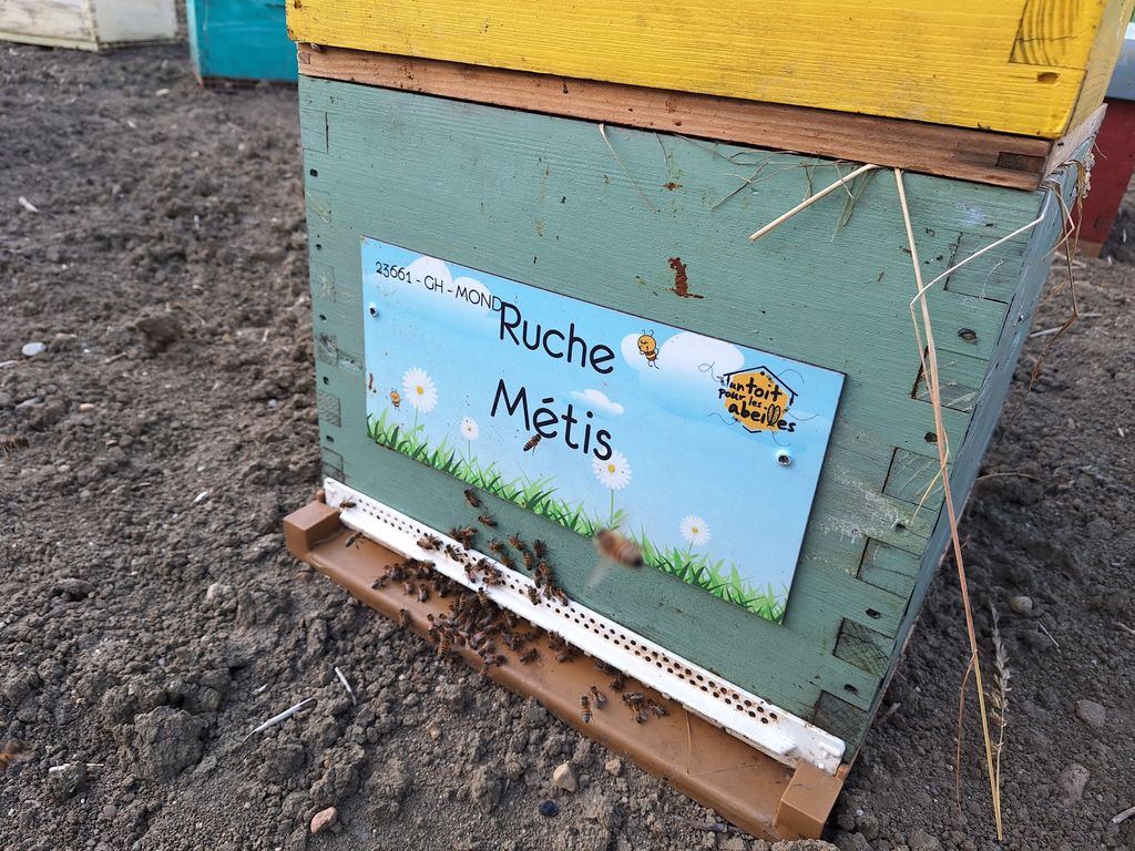 La ruche Métis