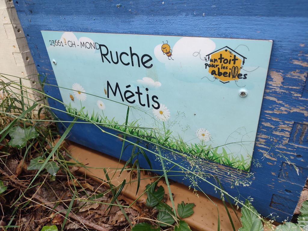 La ruche Métis