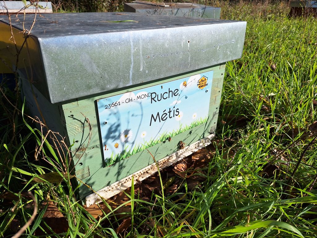 La ruche Métis
