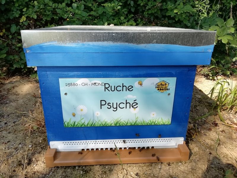 La ruche