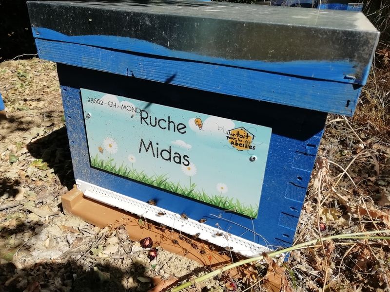 La ruche