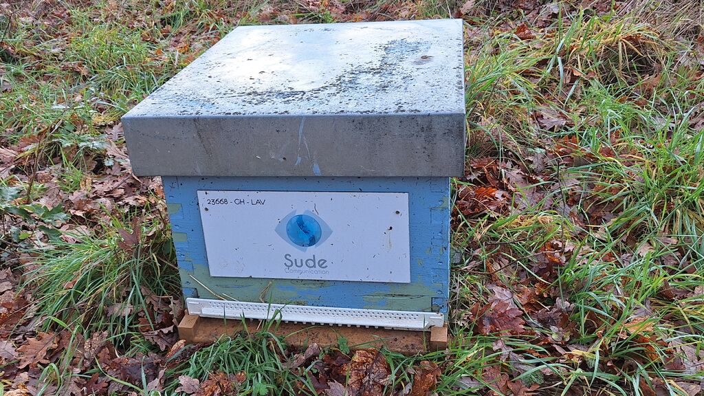 La ruche SUDE COMMUNICATION