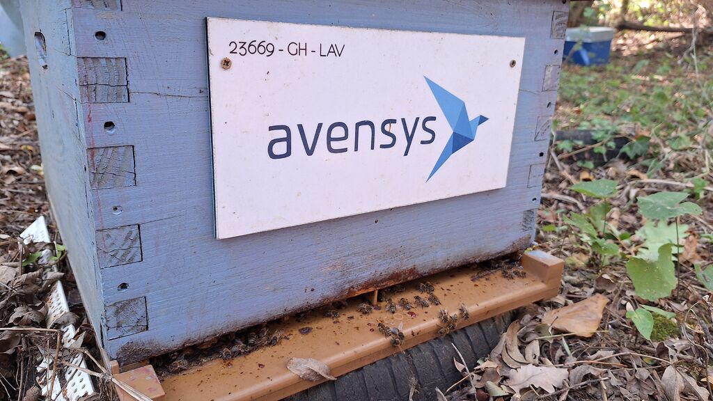 La ruche Avensys