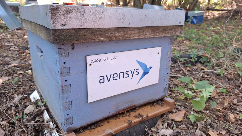 La ruche Avensys