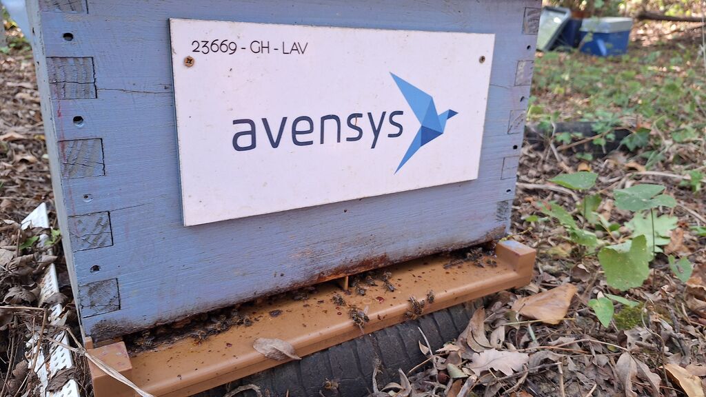 La ruche Avensys