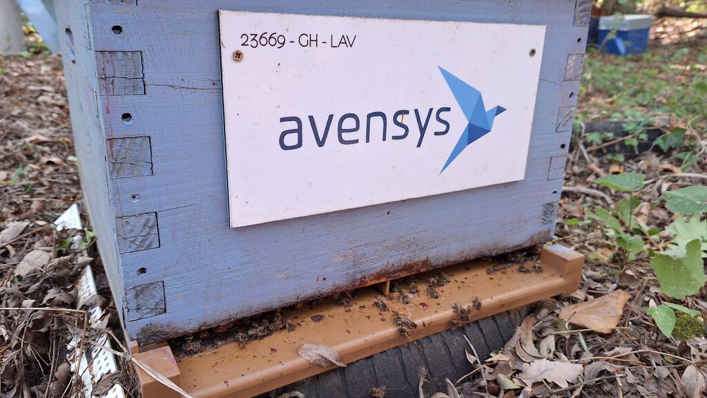 La ruche Avensys