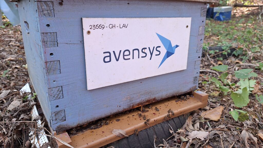 La ruche Avensys