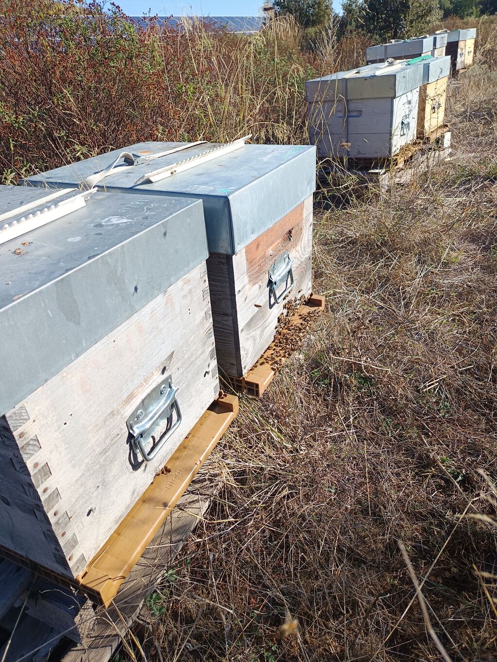 La ruche SONNEDIX SOLEOL I