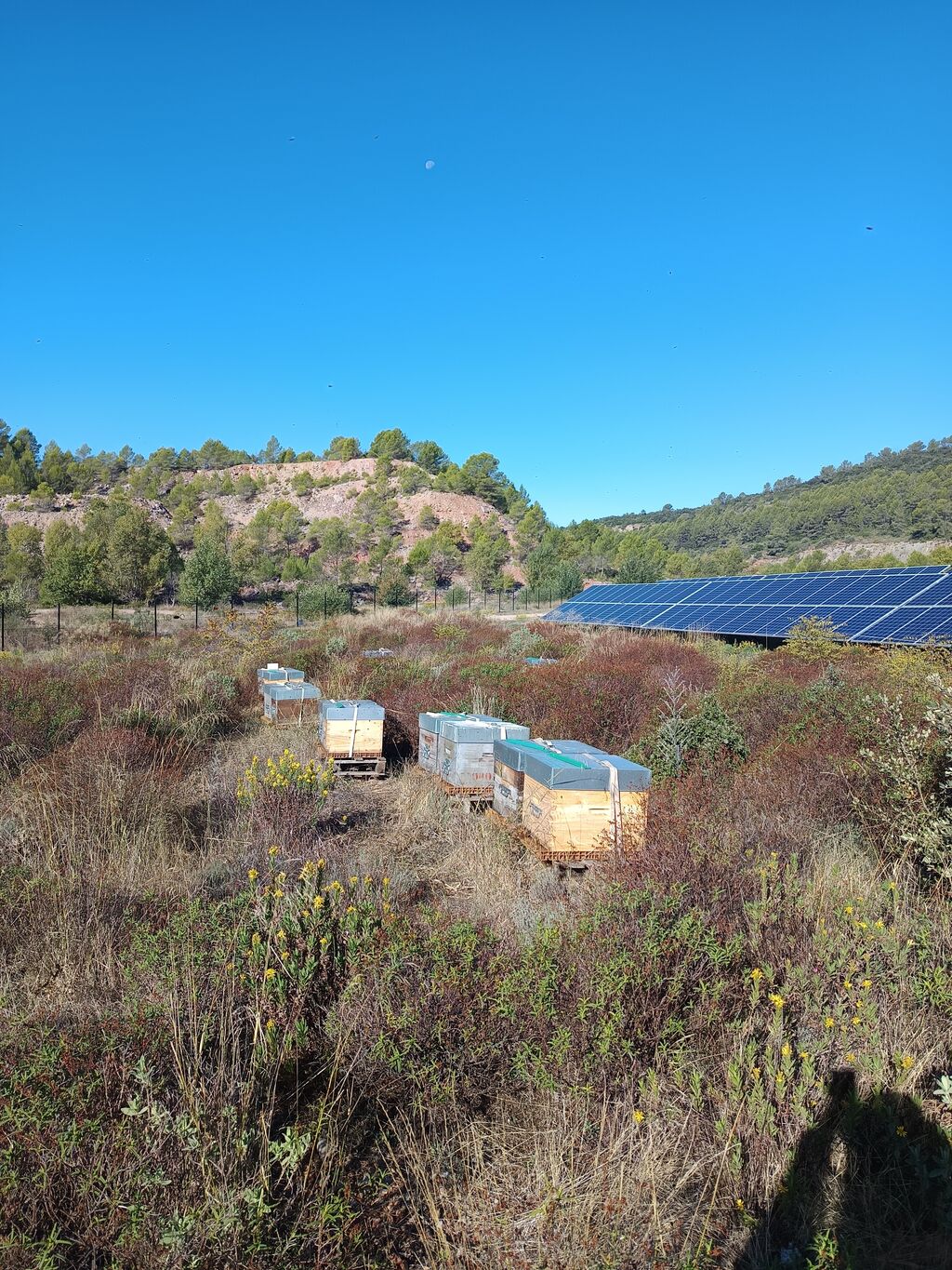 La ruche SONNEDIX SOLEOL I