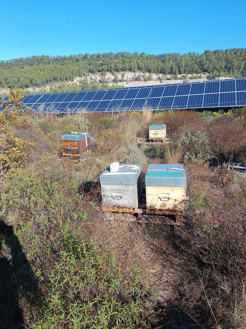 La ruche SONNEDIX SOLEOL I