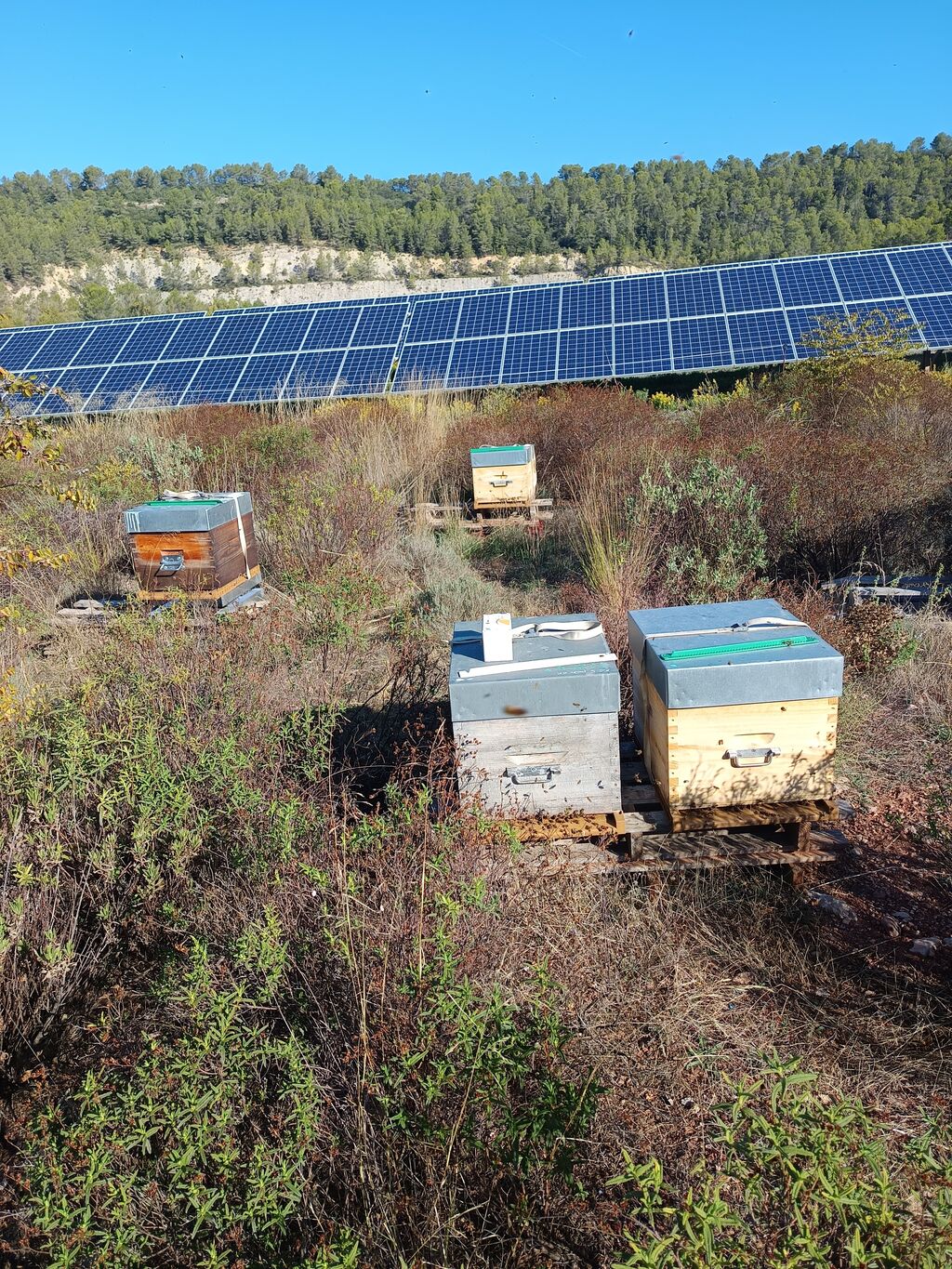 La ruche SONNEDIX SOLEOL I