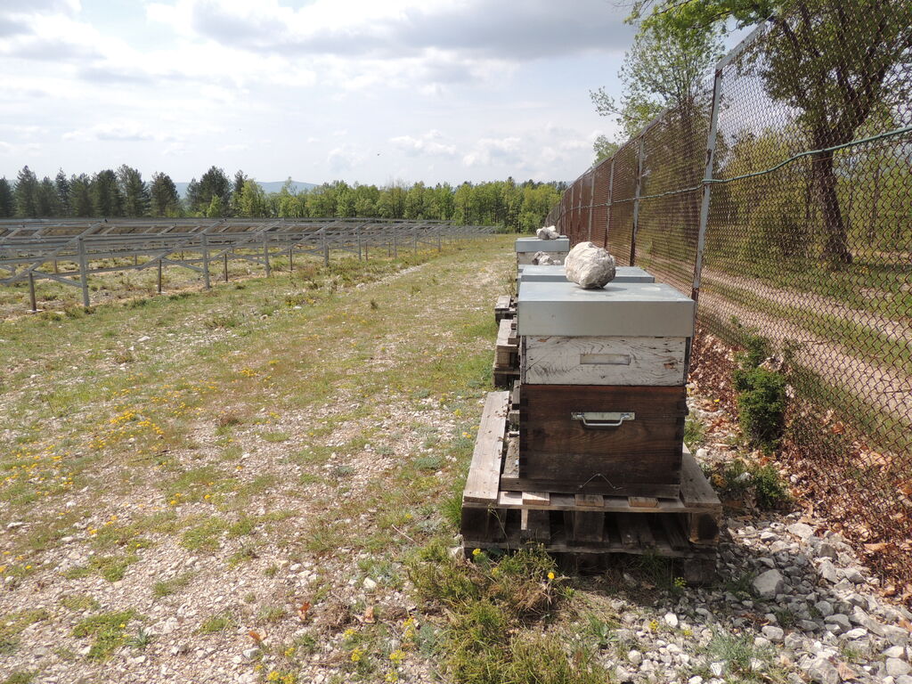 La ruche SONNEDIX CHATEAU SOLAR II