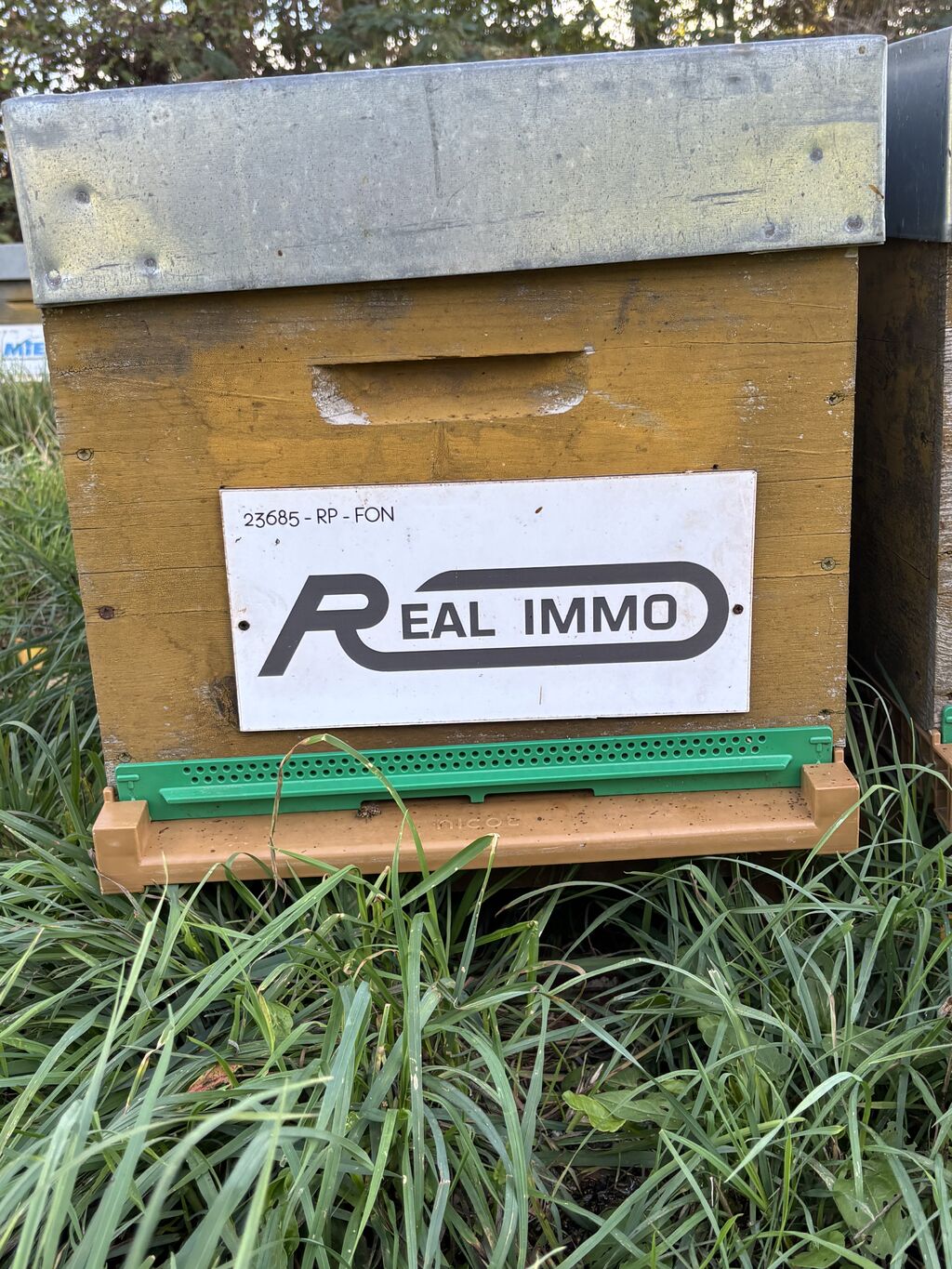 La ruche AGENCE REAL IMMO