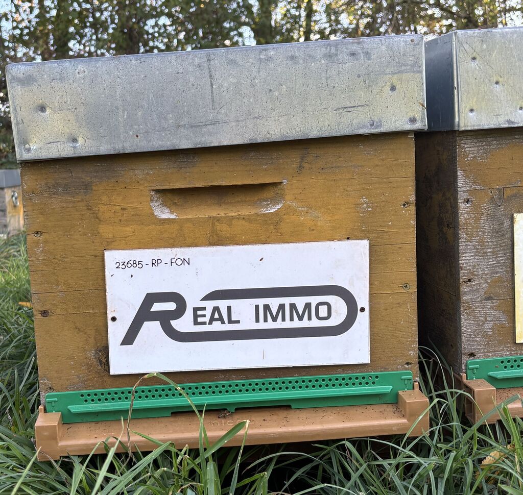 La ruche AGENCE REAL IMMO