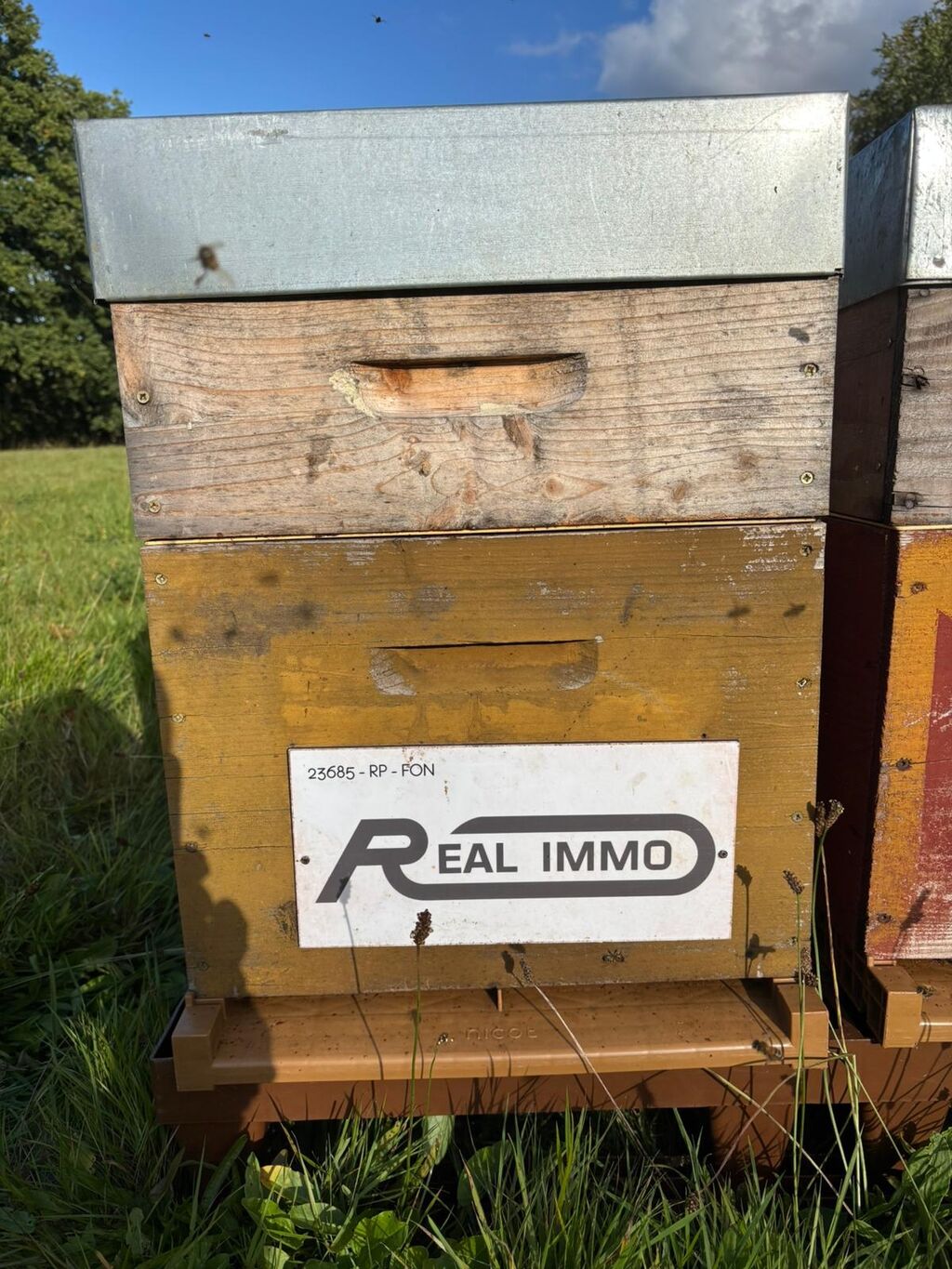 La ruche AGENCE REAL IMMO