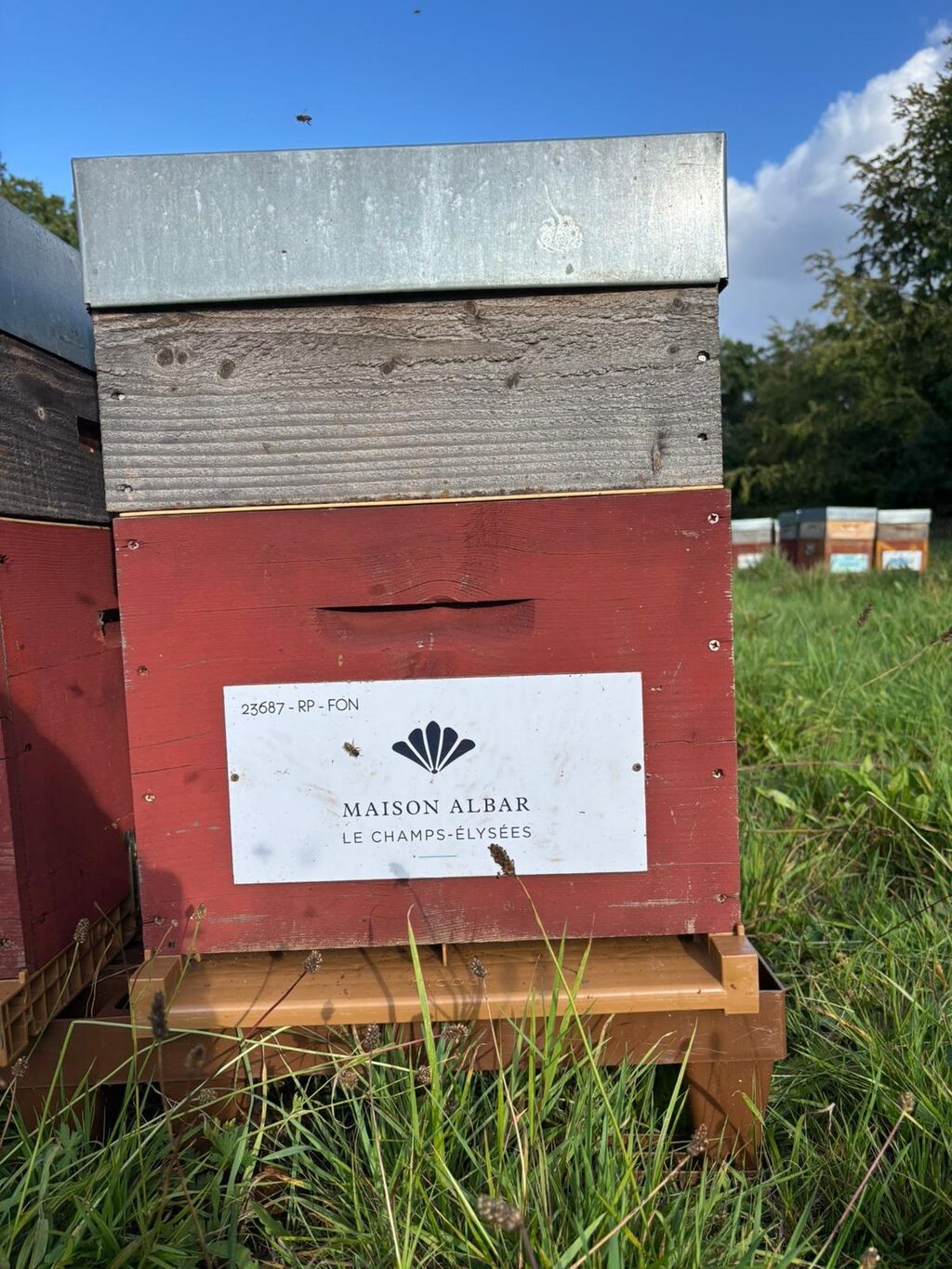 La ruche Maison albar le champs-Élysées