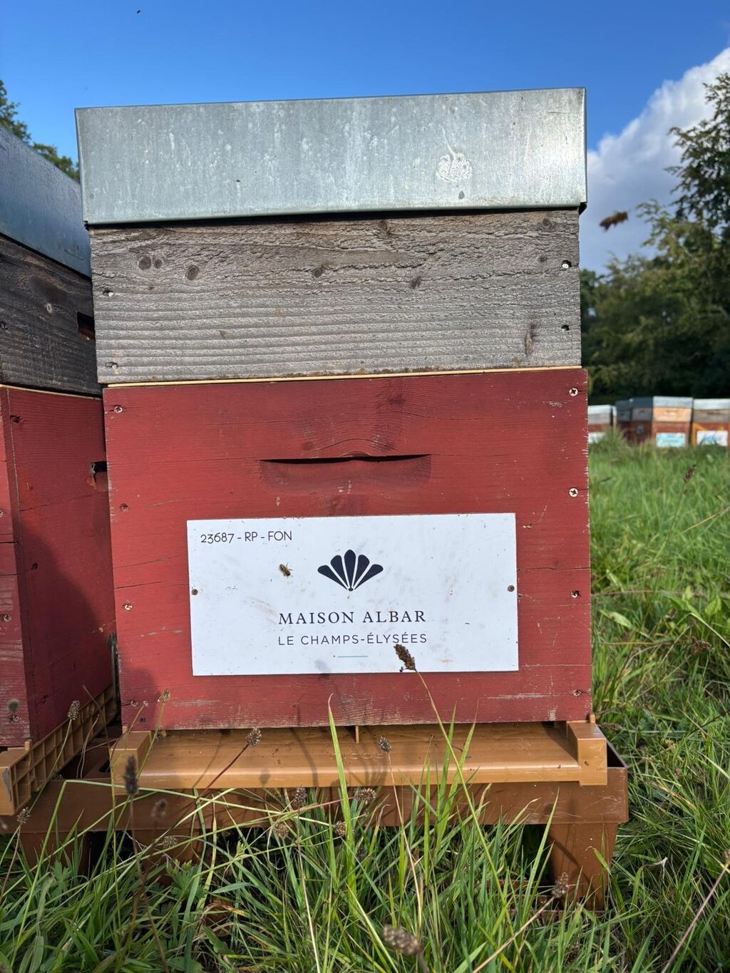 La ruche Maison albar le champs-Élysées